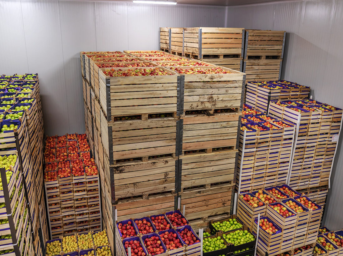 Triumf Concept image