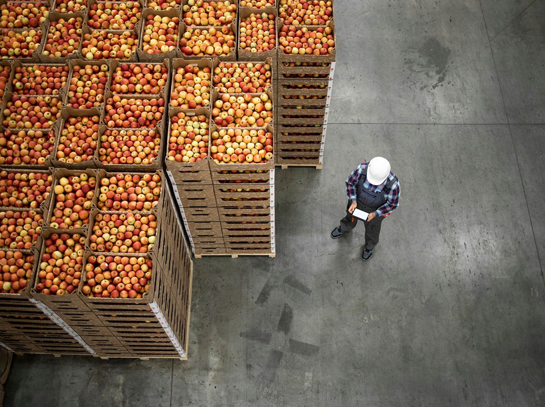 Triumf Concept image