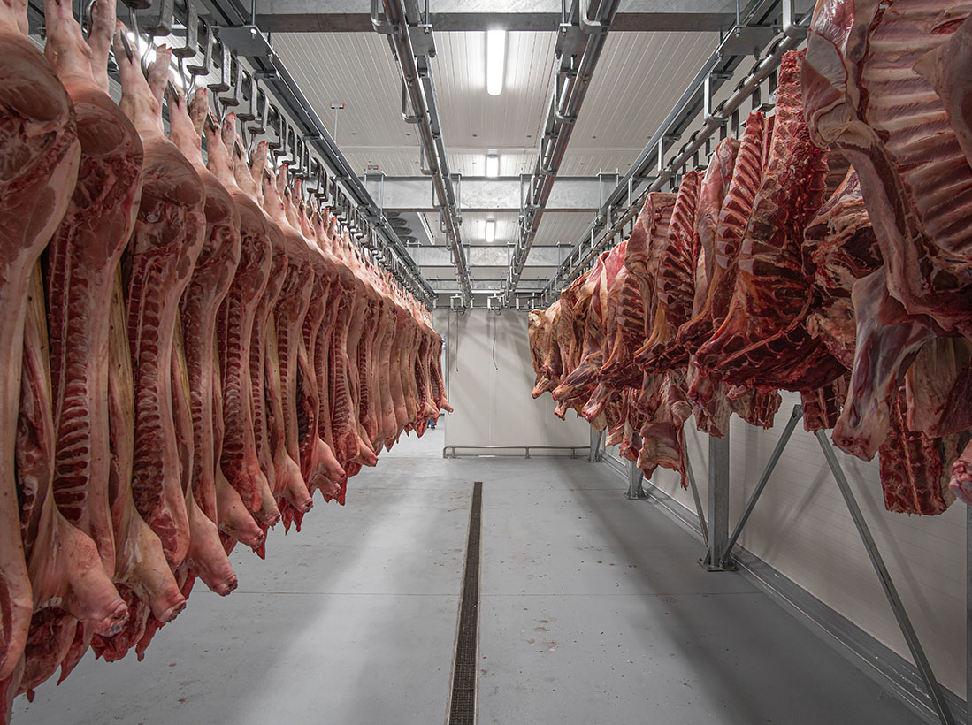 Triumf Concept image